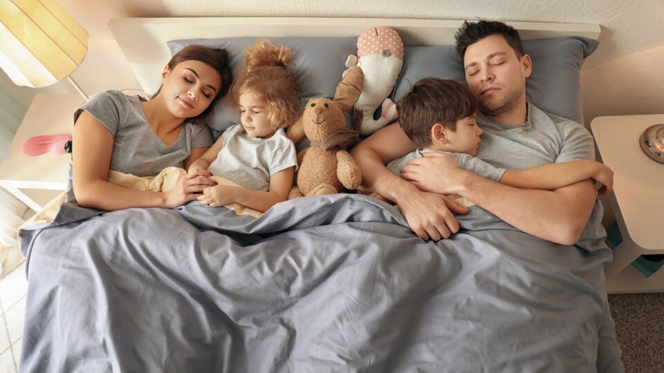 Qi Quant Regenerationsplatte